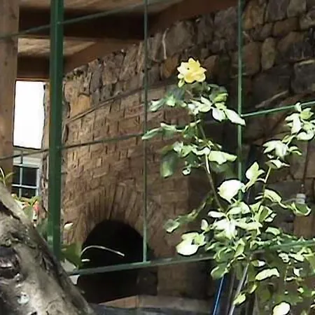 Vakantieboerderij Casa Del Bosco Borzonasca