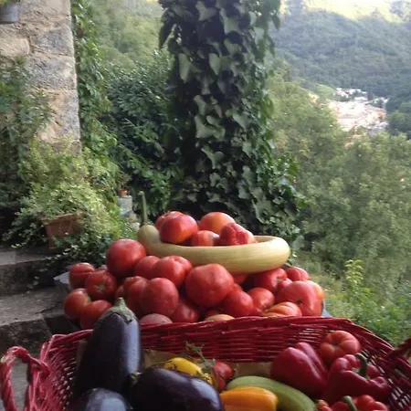 Casa Del Bosco