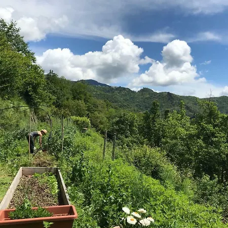 Casa Del Bosco *